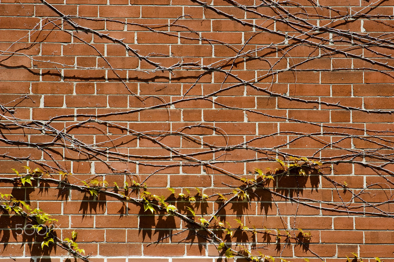 Canon EF 28-105mm f/3.5-4.5 USM sample photo. Brick photography