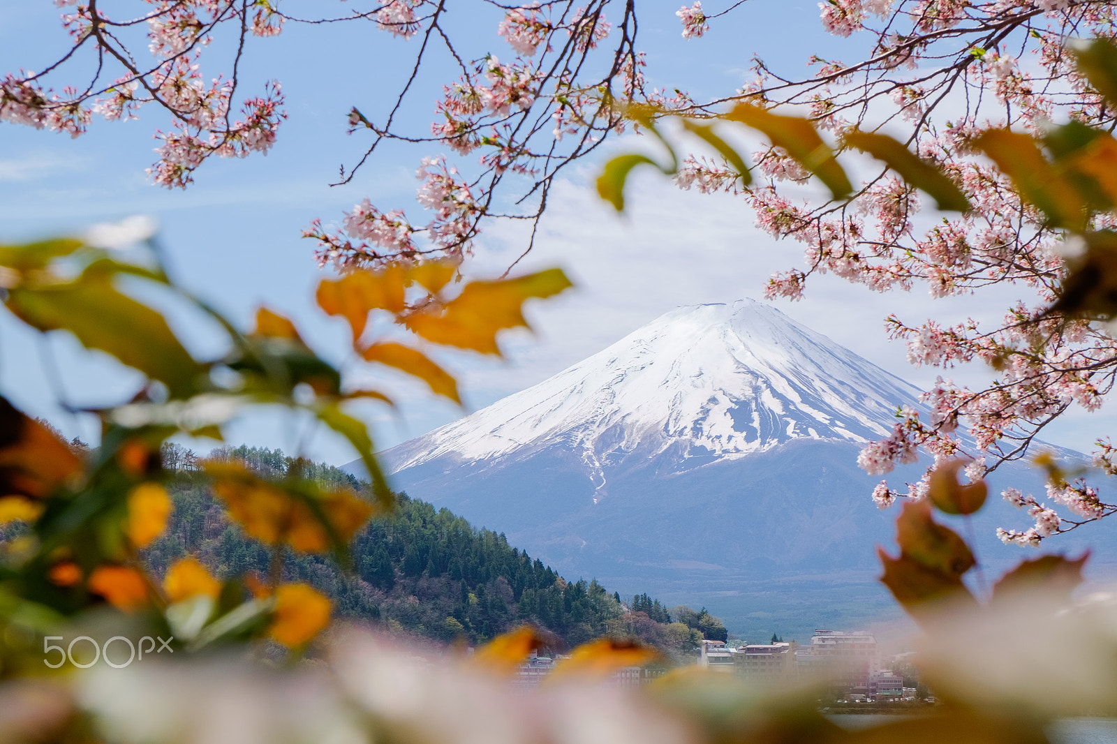 Fujifilm XC 16-50mm F3.5-5.6 OIS II sample photo. Close-up of mount fuji photography