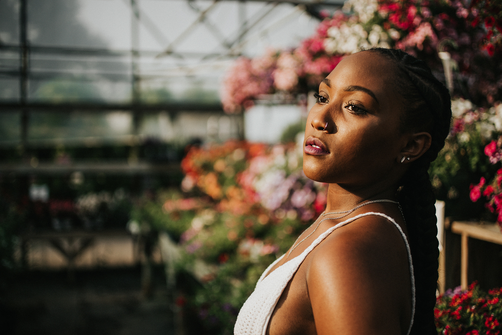 Canon EOS 6D + Canon EF 50mm F2.5 Macro sample photo. The greenhouse | 2016 photography