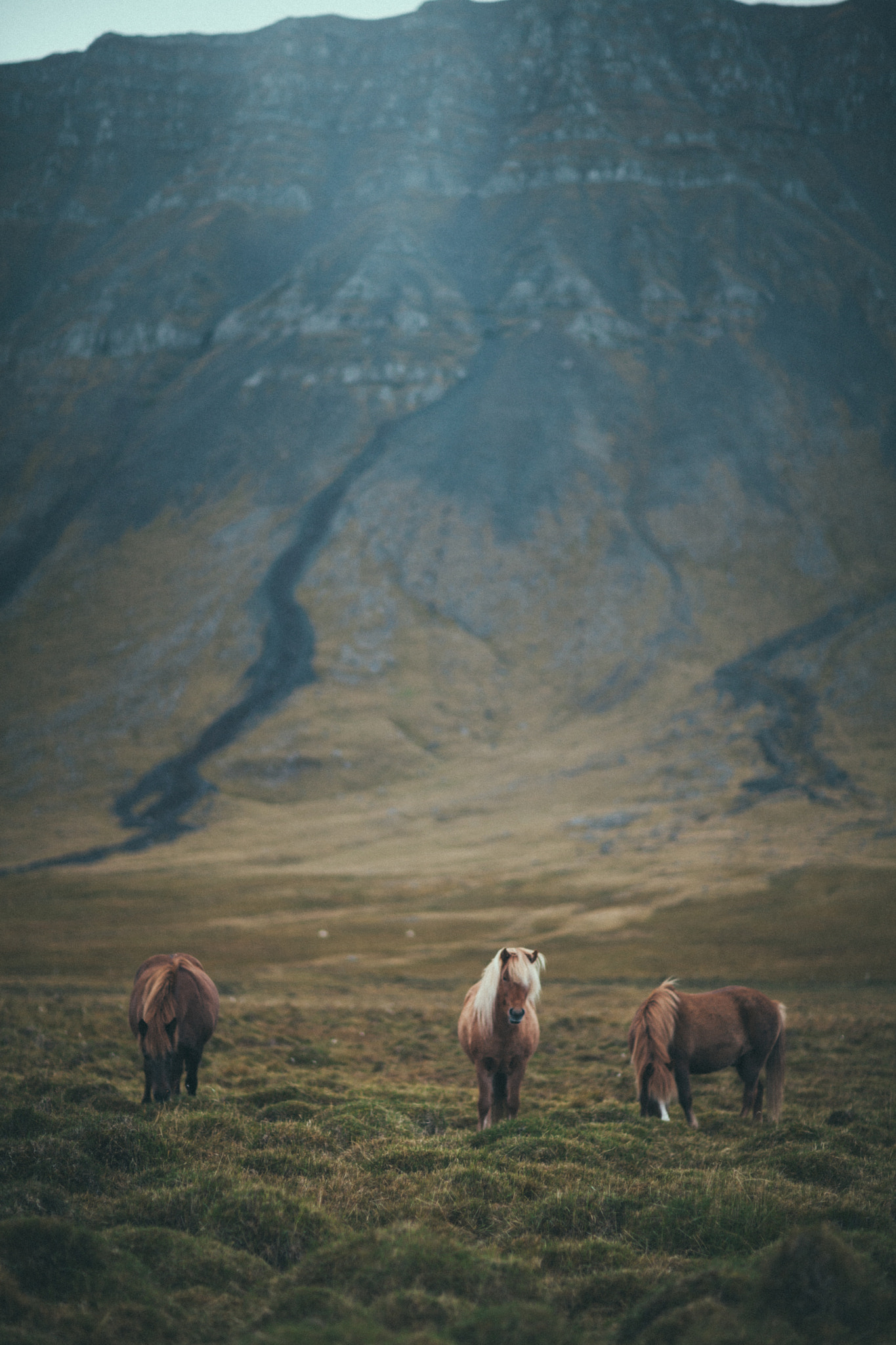 Canon EF 85mm F1.2 sample photo. Iceland photography