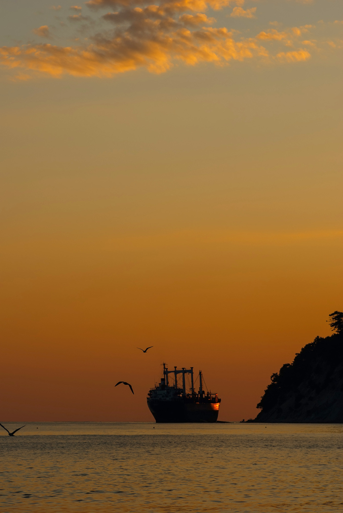 Pentax K10D + Pentax smc D-FA 100mm F2.8 macro sample photo. Sunset on the sea photography