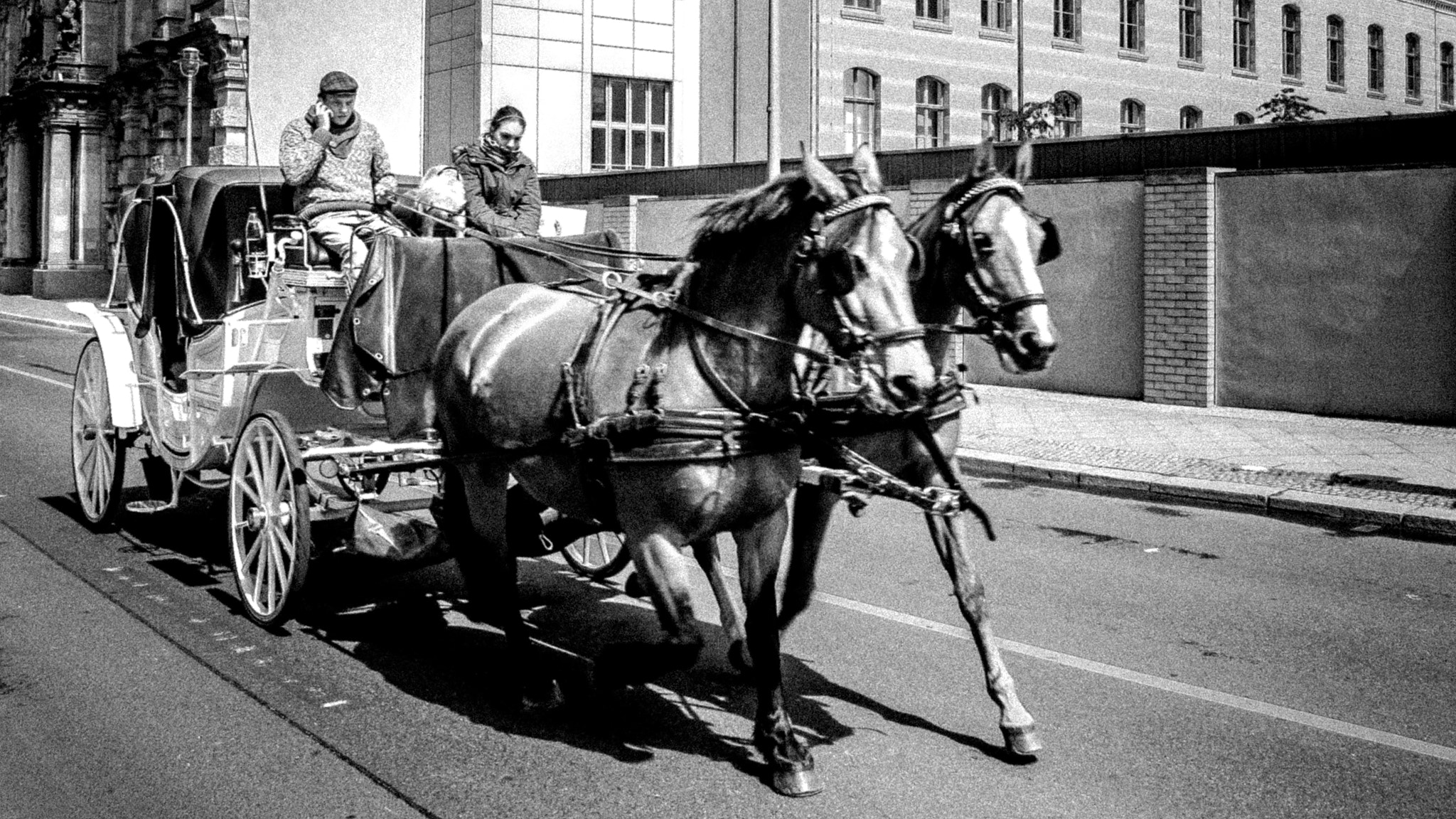 Canon EOS 450D (EOS Rebel XSi / EOS Kiss X2) sample photo. Horsetaxi photography