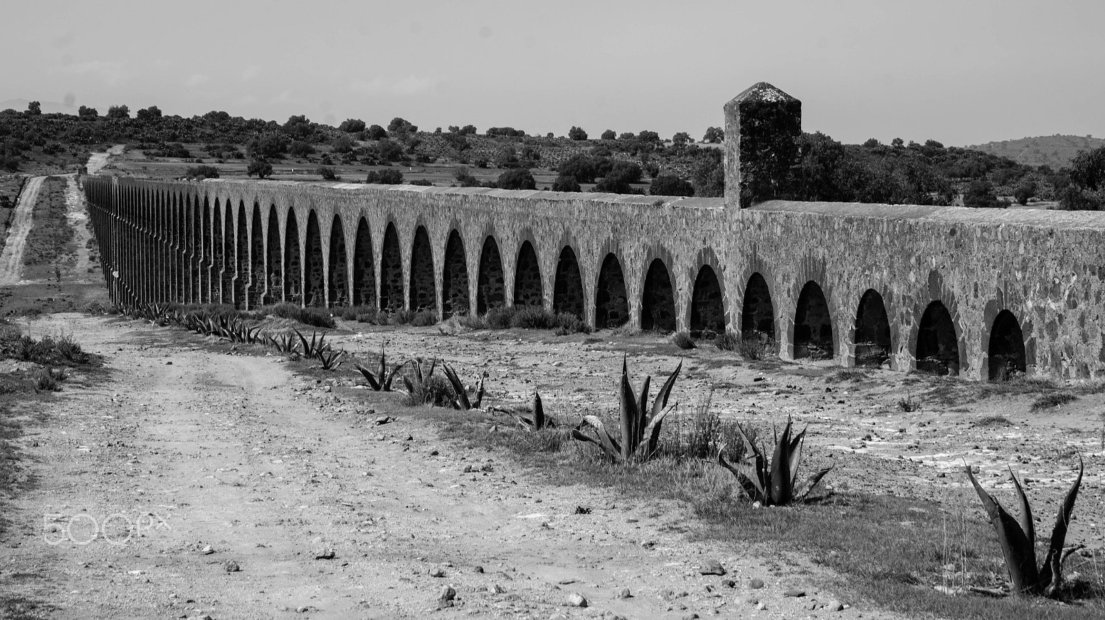 Sony Alpha a3500 sample photo. Aqueduct of padre tembleque photography