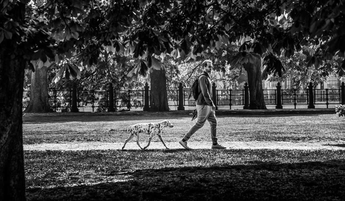 Sony 75-300mm F4.5-5.6 sample photo. Berlin walk photography