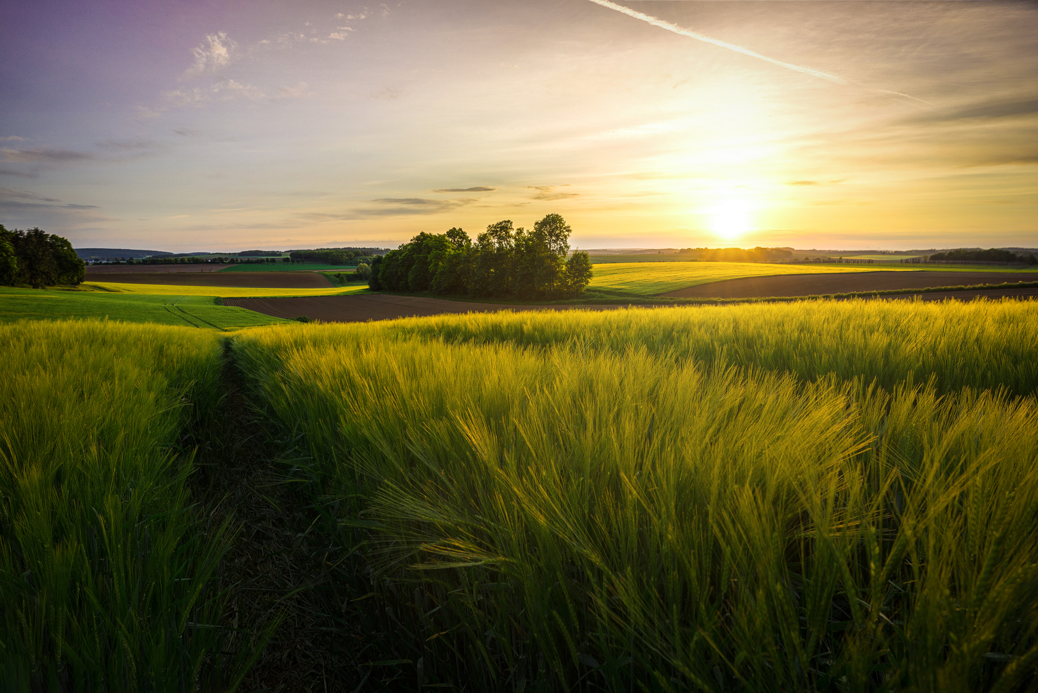 Sony a7R + ZEISS Batis 18mm F2.8 sample photo. Wonderful morning in bavaria! photography