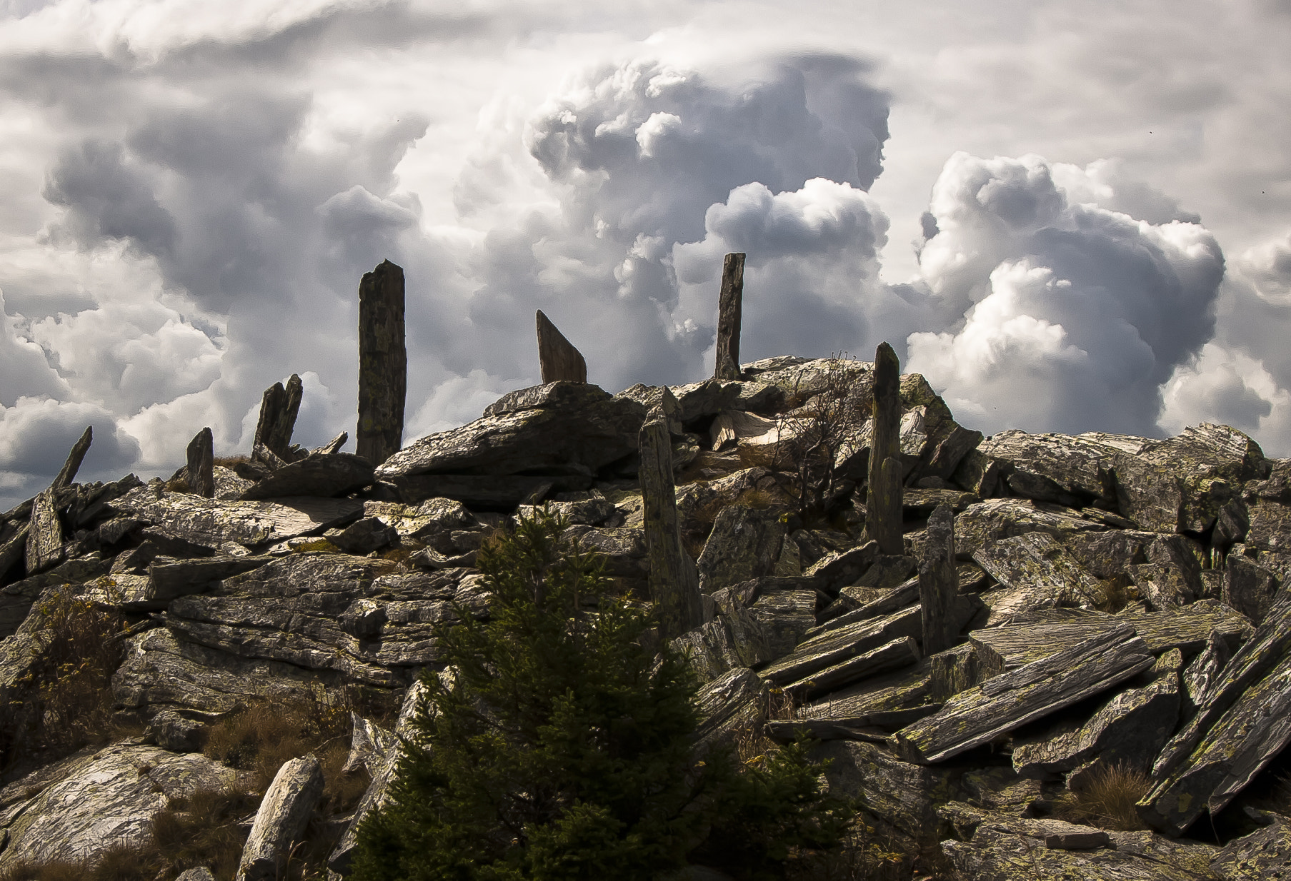 Canon EOS 40D + Sigma 20mm EX f/1.8 sample photo. The earth's bones iv photography