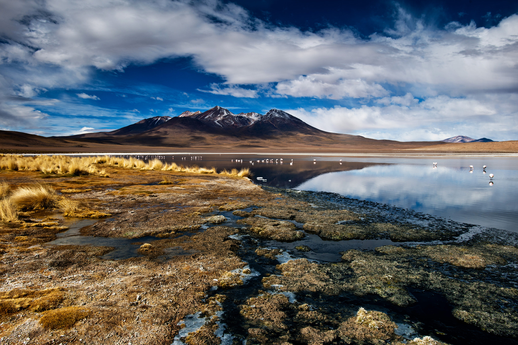 Nikon D3X sample photo. [ altiplano dreamscape...] photography