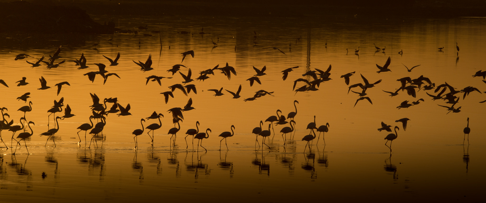 Nikon D4S sample photo. Minutes before sunset photography