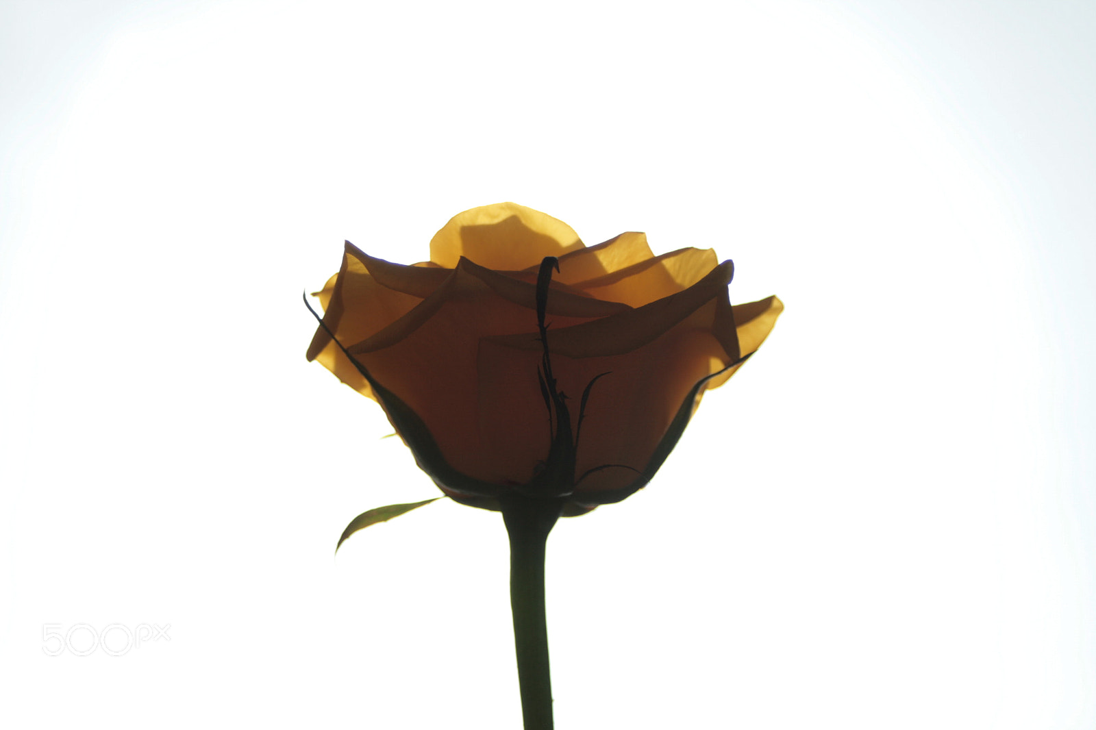 Canon EF 28-90mm f/4-5.6 sample photo. A new sun photography