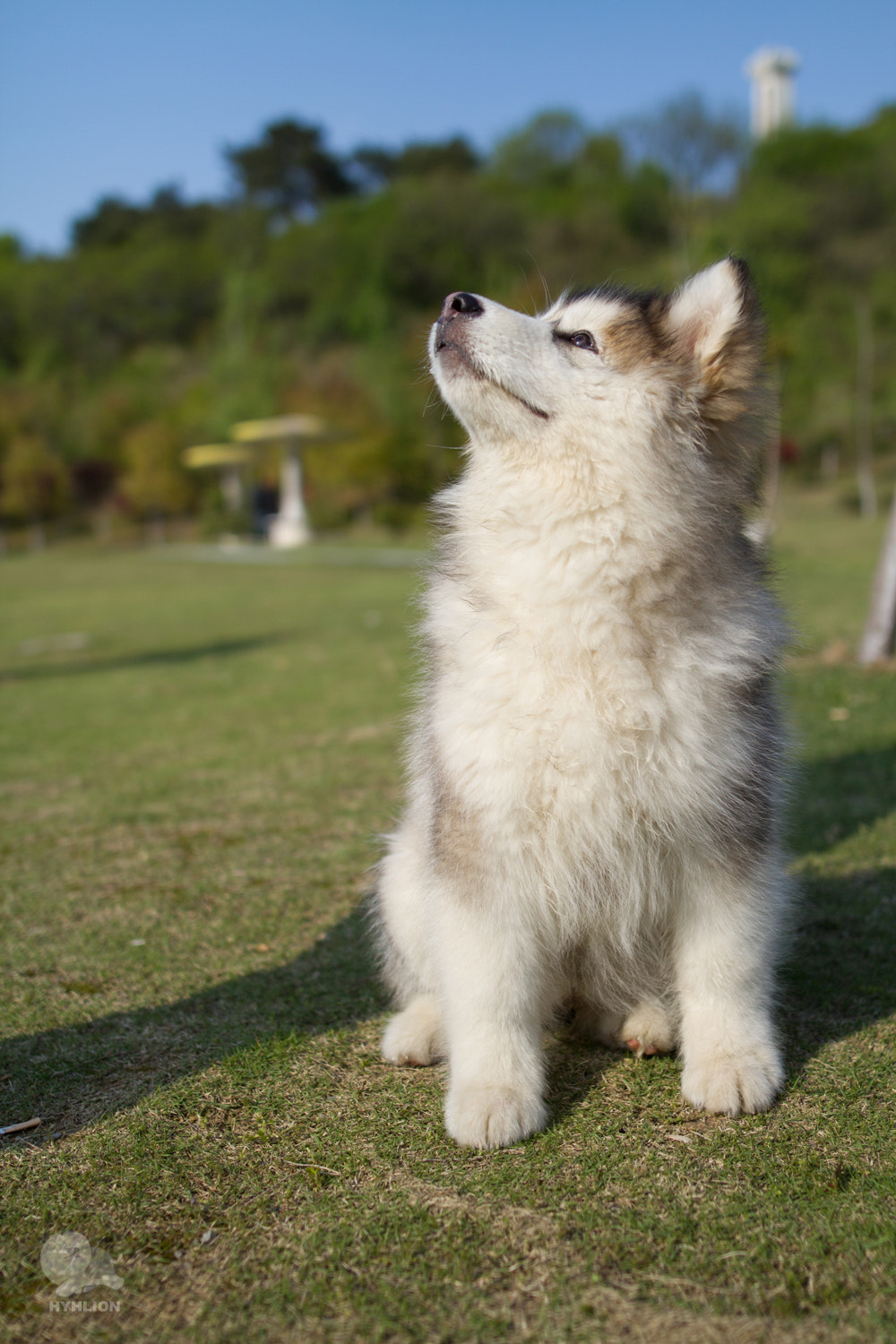 Sigma 24mm F1.4 DG HSM Art sample photo. Duona photography