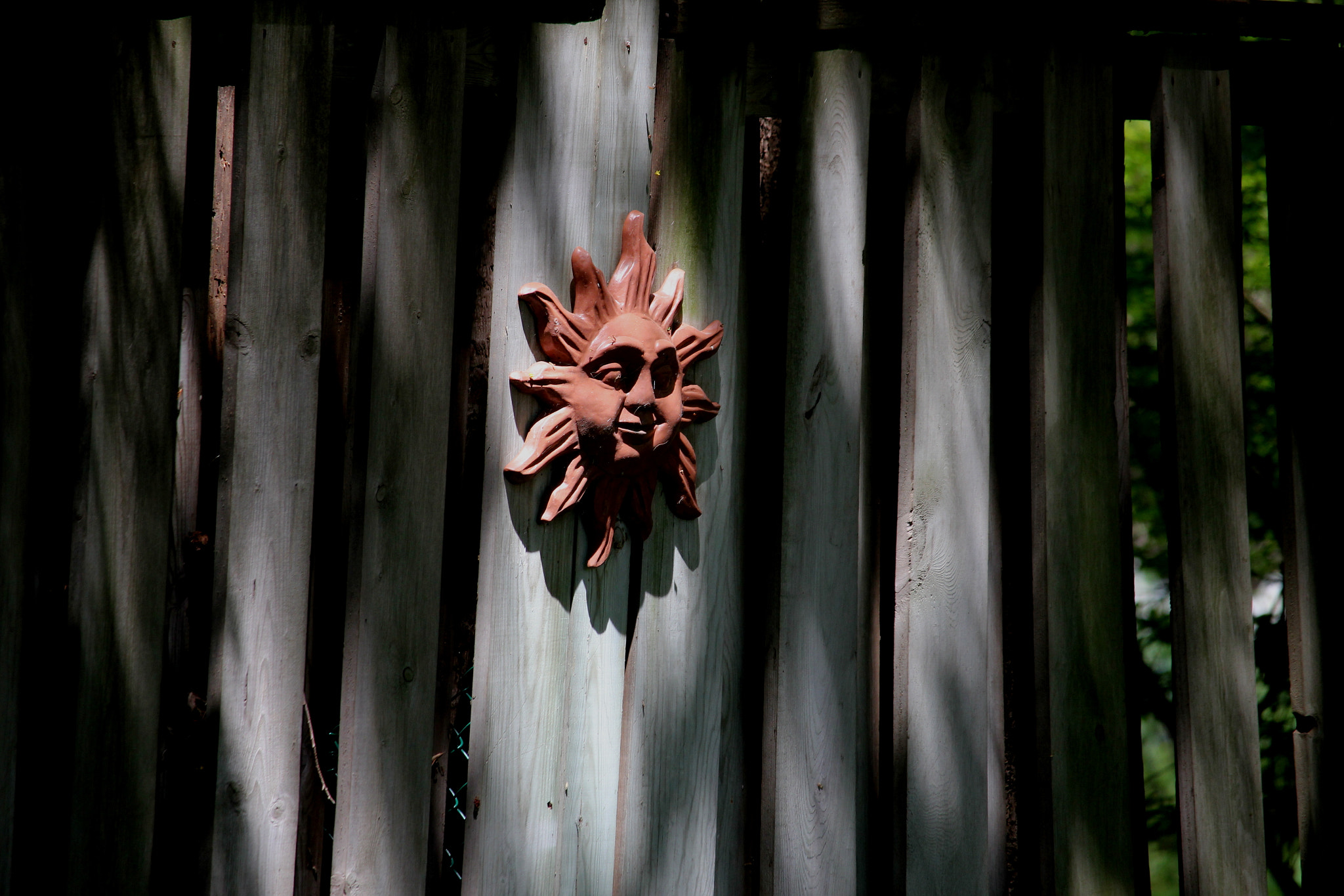 Canon EF-S 55-250mm F4-5.6 IS STM sample photo. Mr sun in the shadows photography