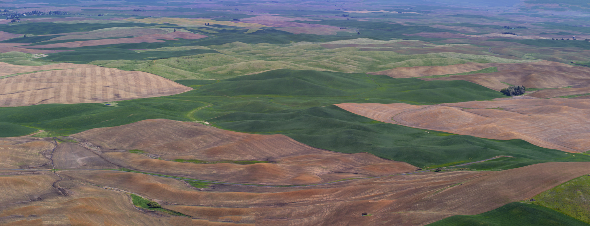 150-600mm F5-6.3 DG OS HSM | Sports 014 sample photo. Panorama from steptoe butte photography
