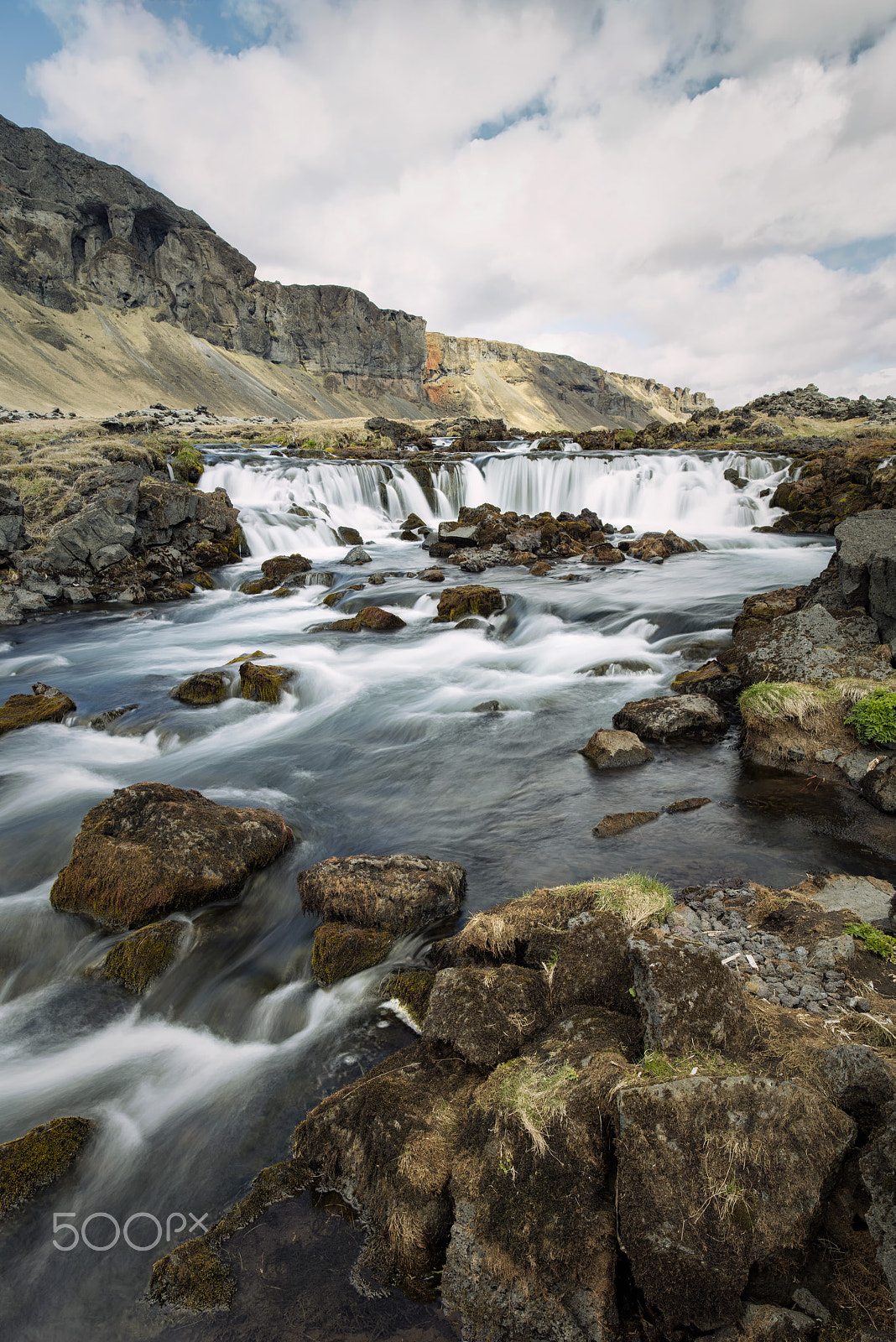 ZEISS Milvus 21mm F2.8 sample photo. Boss foss#1 photography