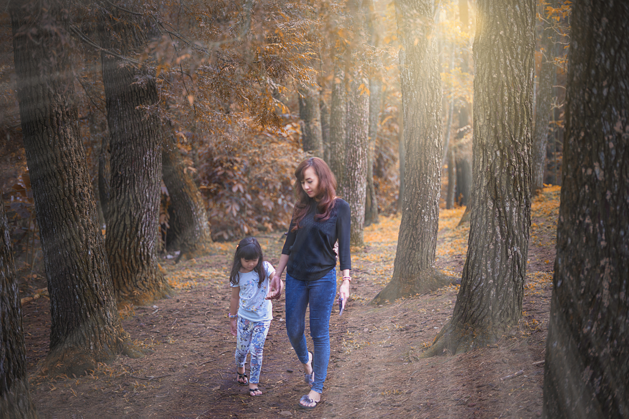 Sony a7R + Sony FE 50mm F1.8 sample photo. My two sunshine photography