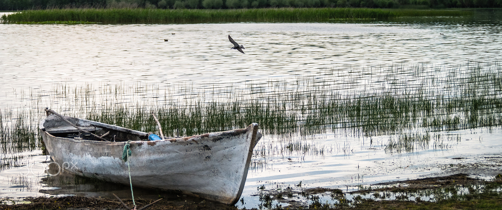 Samsung NX1 + Samsung NX 50-200mm F4-5.6 ED OIS sample photo. IŞikli lake photography