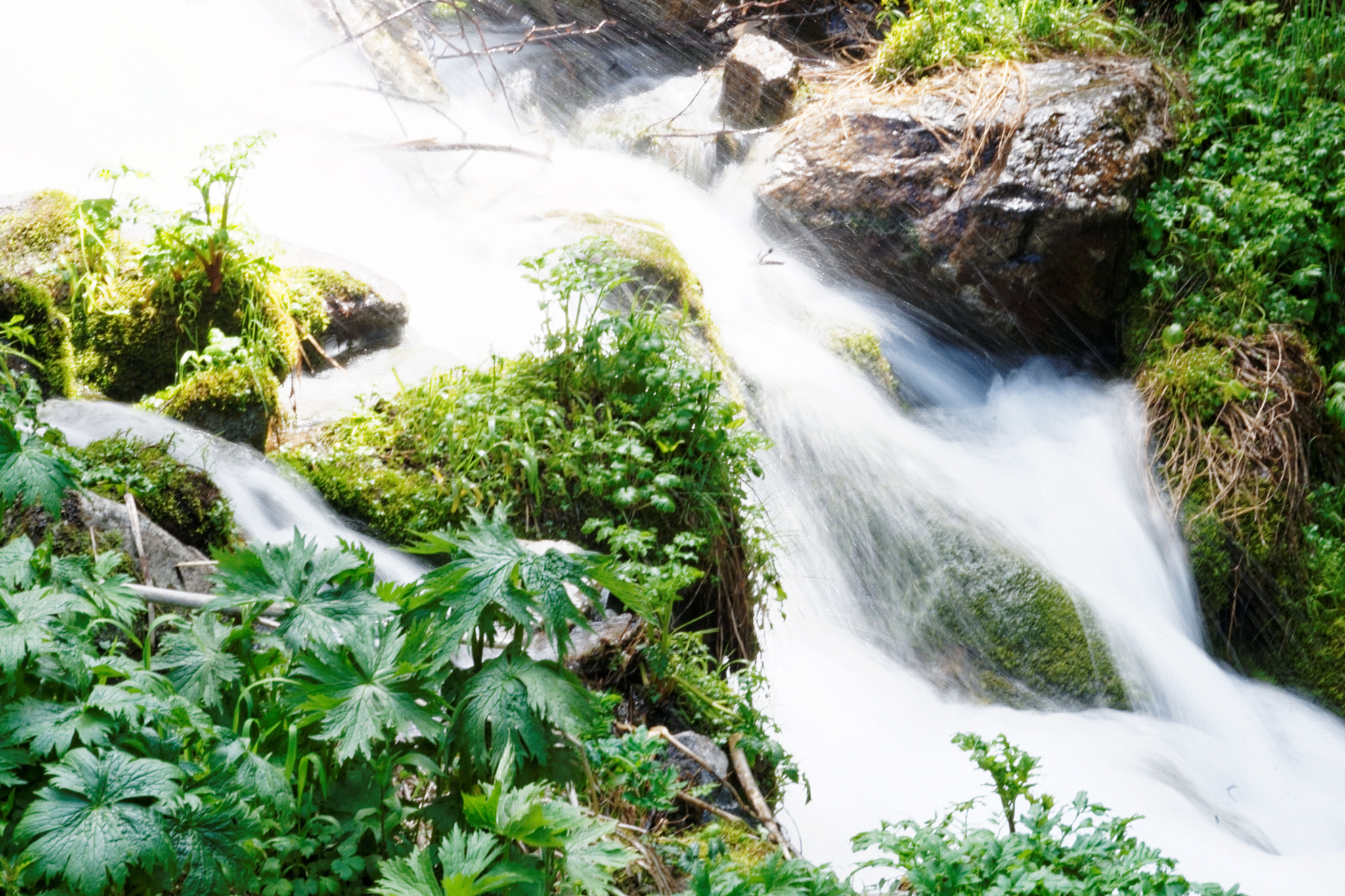 Sony Alpha DSLR-A900 sample photo. Water photography