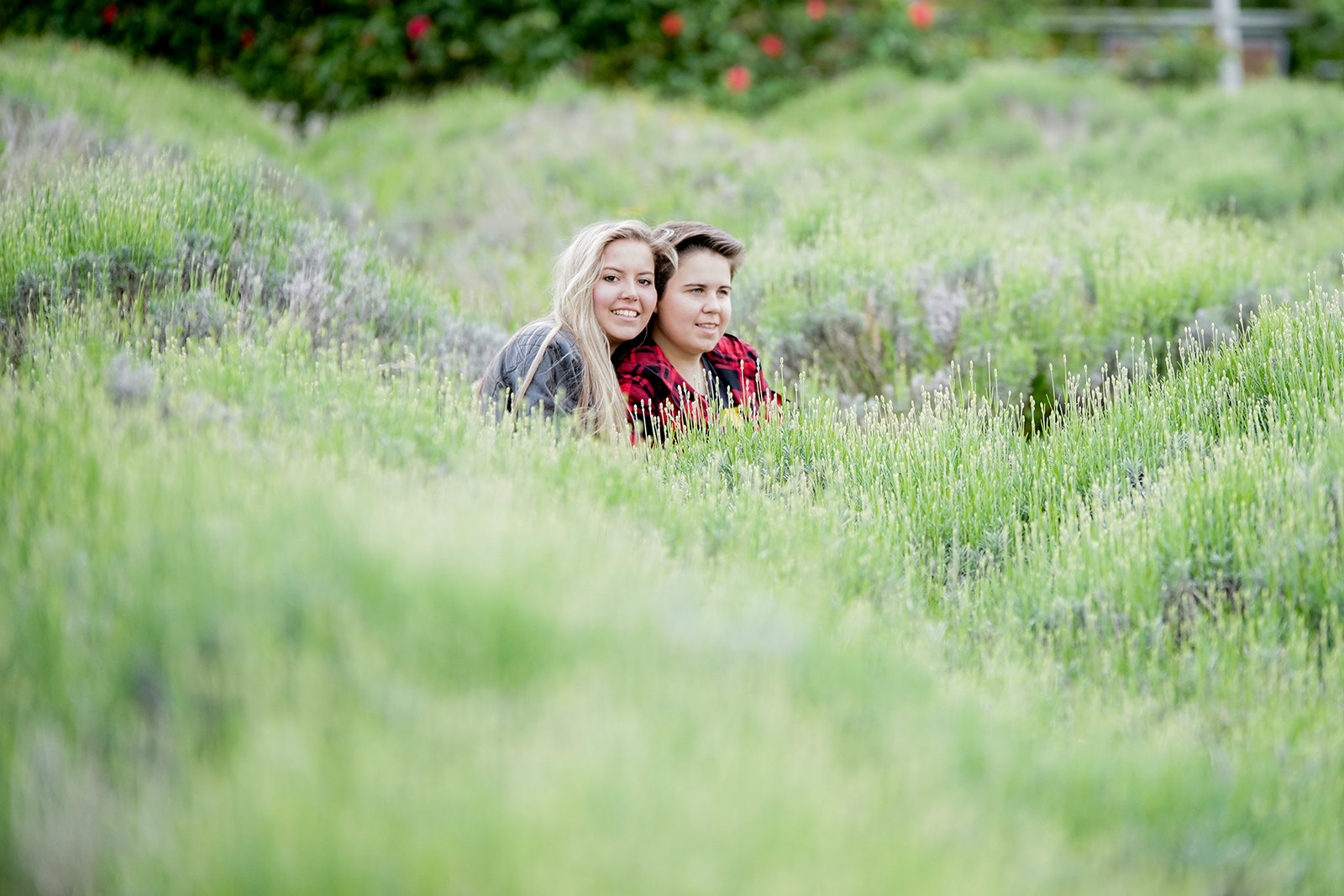 Sony a7R + 70-200mm F2.8 sample photo. Bunnies photography