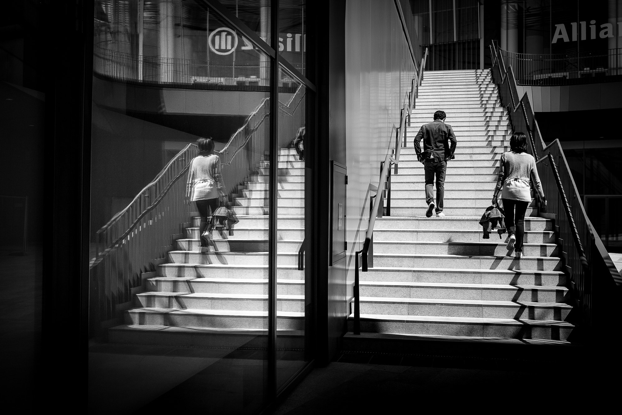 Summicron-M 1:2/35 sample photo. Up photography