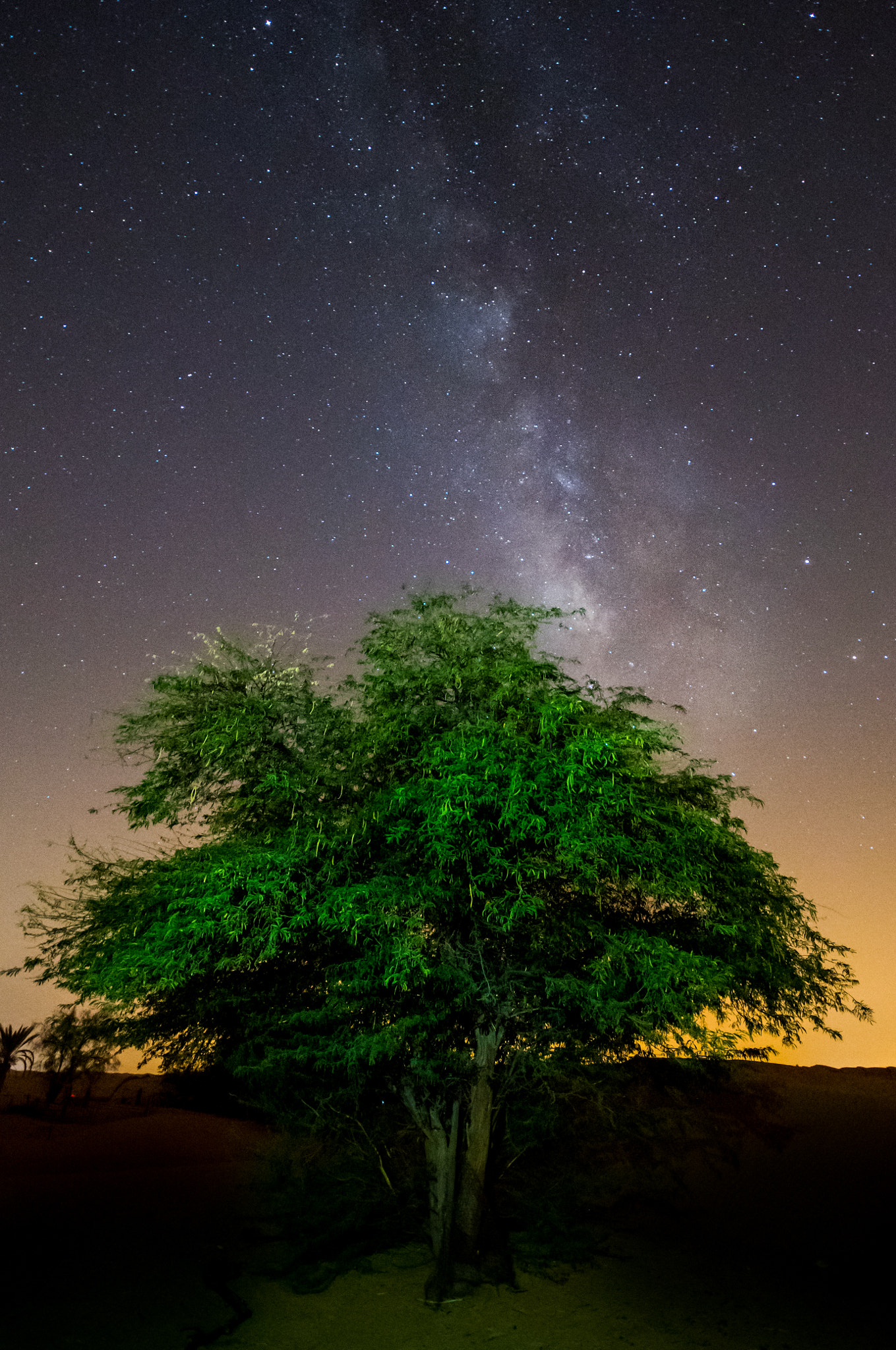 Sigma 10-20mm F4-5.6 EX DC HSM sample photo. Milkyway! photography