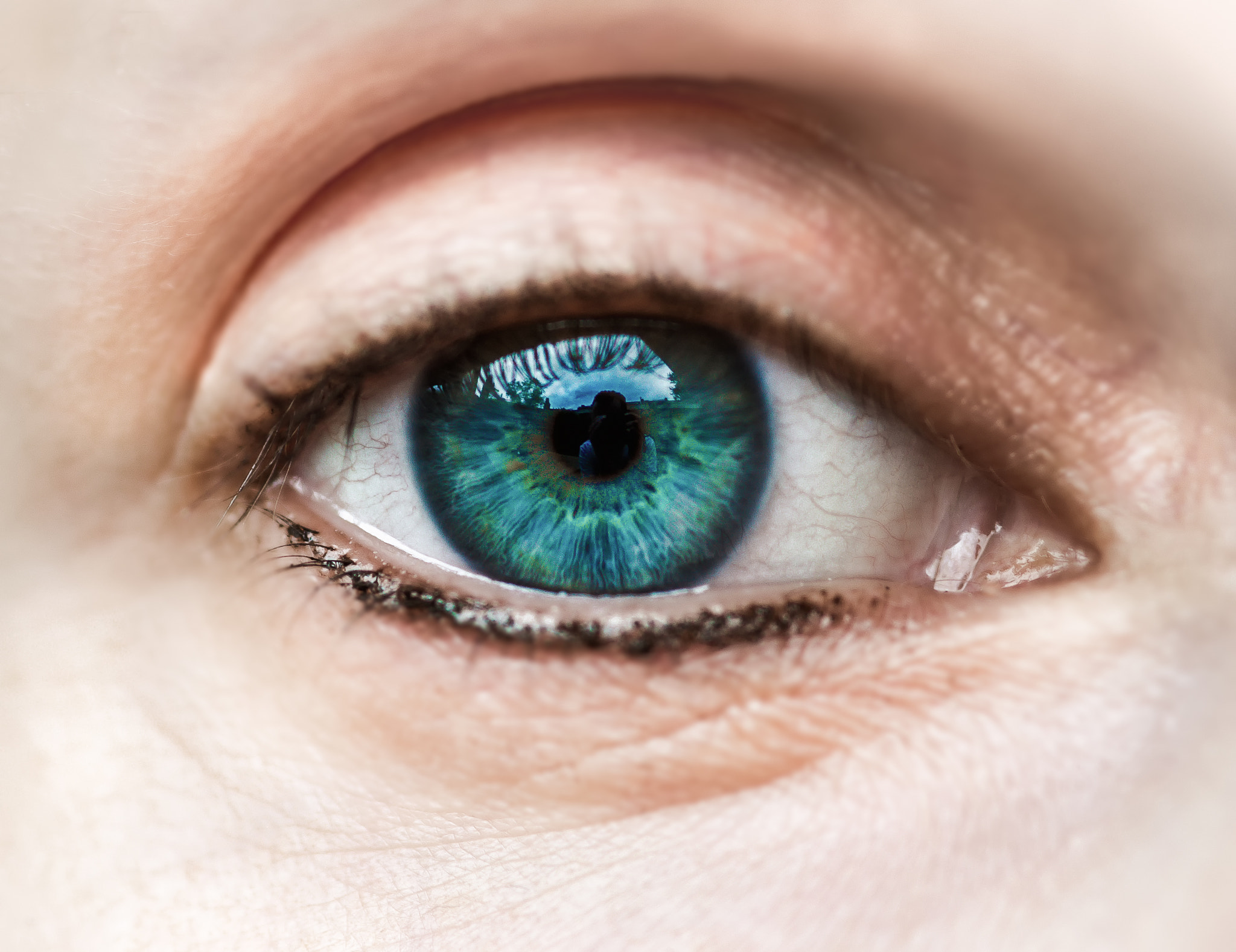 Sigma 105mm F2.8 EX DG Macro sample photo. The blue eye  ii  photography