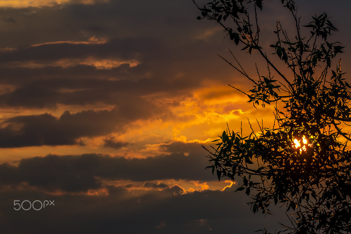 Sigma 150mm F2.8 EX DG OS Macro HSM sample photo. Sunset photography