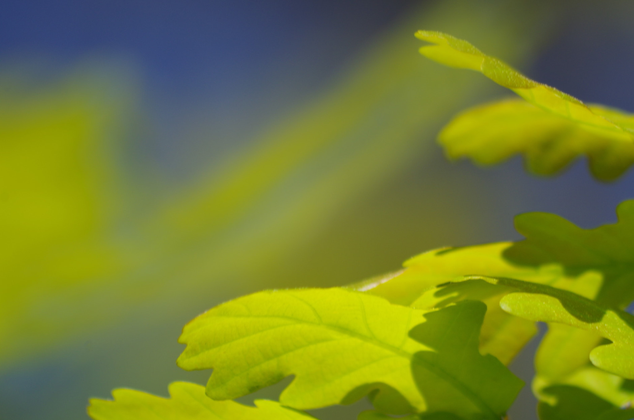 HD Pentax DA 55-300mm F4.0-5.8 ED WR sample photo. Air photography