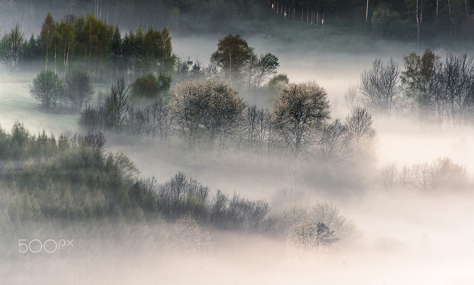 Pentax K-5 II + Sigma sample photo. Misty dream...... photography