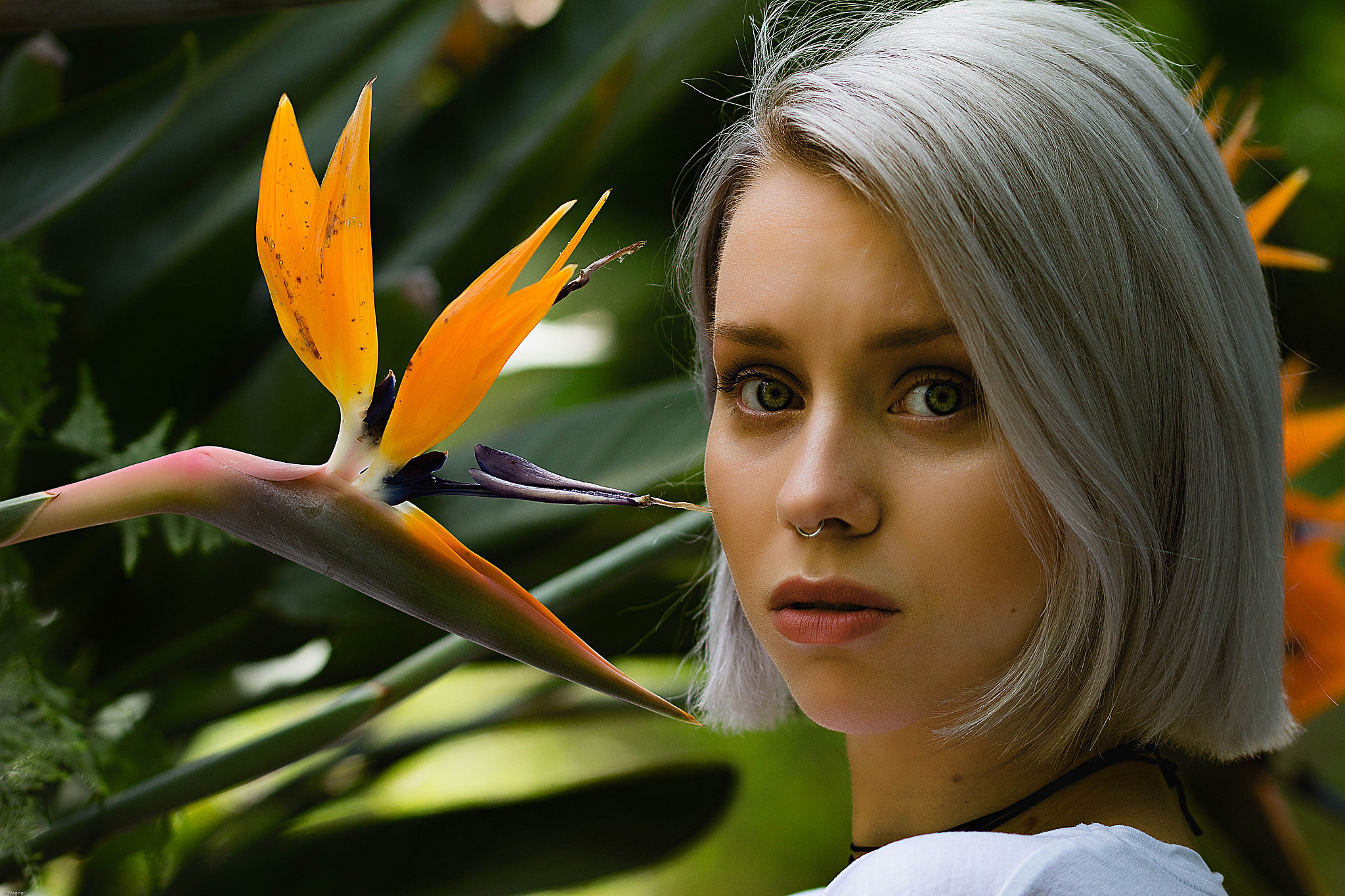 Sigma 105mm F2.8 EX DG OS HSM sample photo. Model verena photography