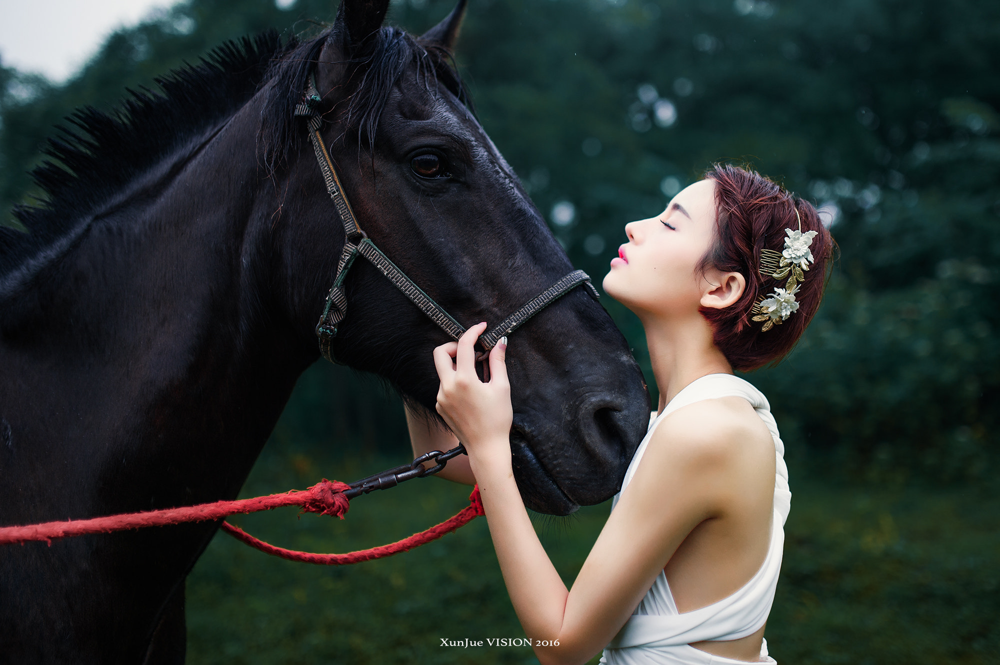 Nikon Df + Sigma 35mm F1.4 DG HSM Art sample photo. 以梦为马，诗酒趁年华 photography