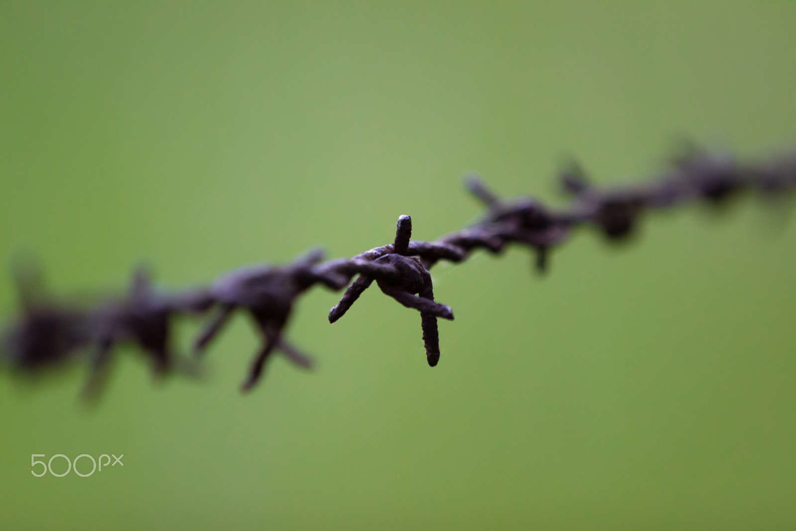 Canon EF 70-200mm F2.8L IS II USM sample photo. Barbwire photography