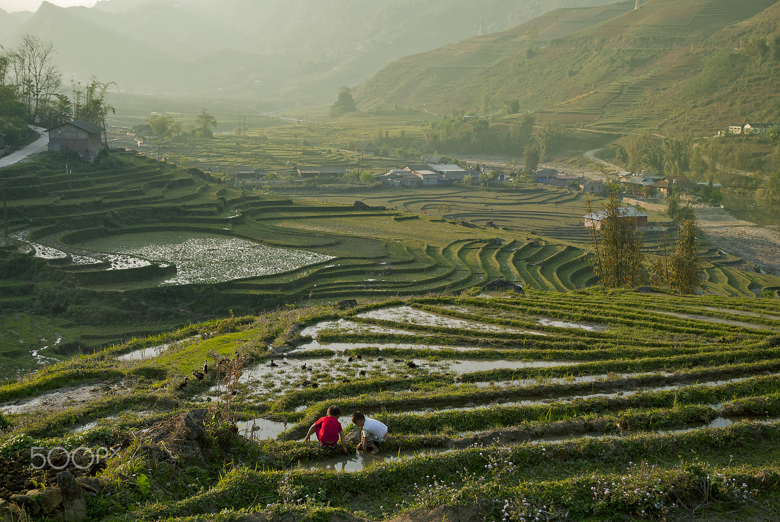 Nikon D80 sample photo. Sapa valley photography