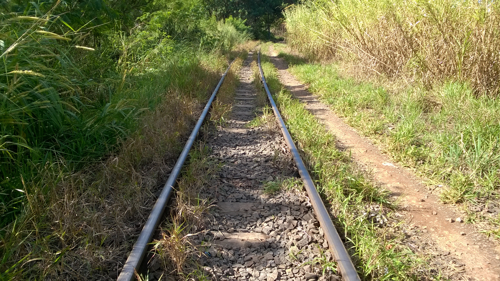 Nokia Lumia 730 Dual SIM sample photo. Rails photography
