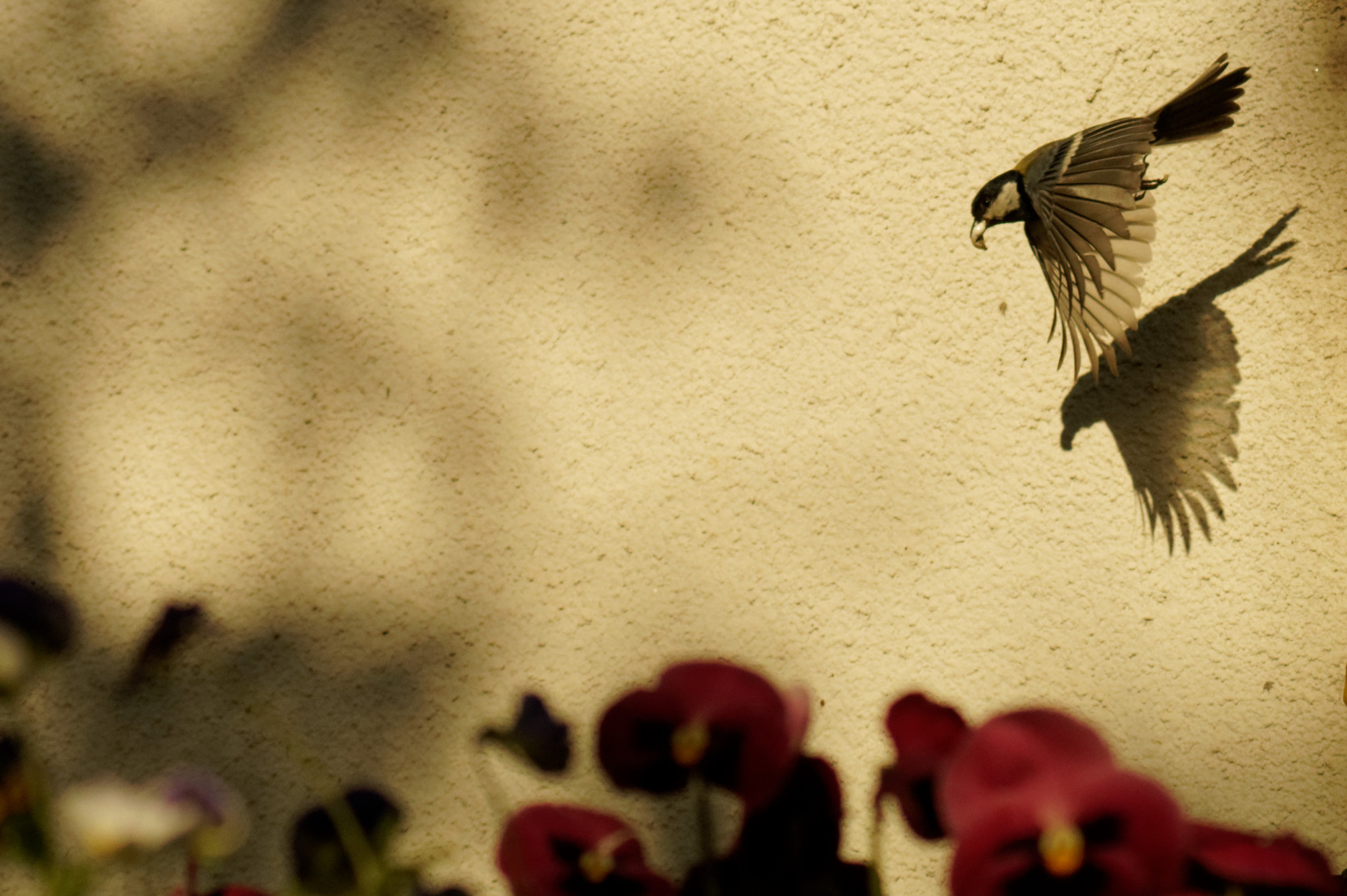 Sony SLT-A58 + Tamron AF 70-300mm F4-5.6 Di LD Macro sample photo. A phase of flight part 4 photography