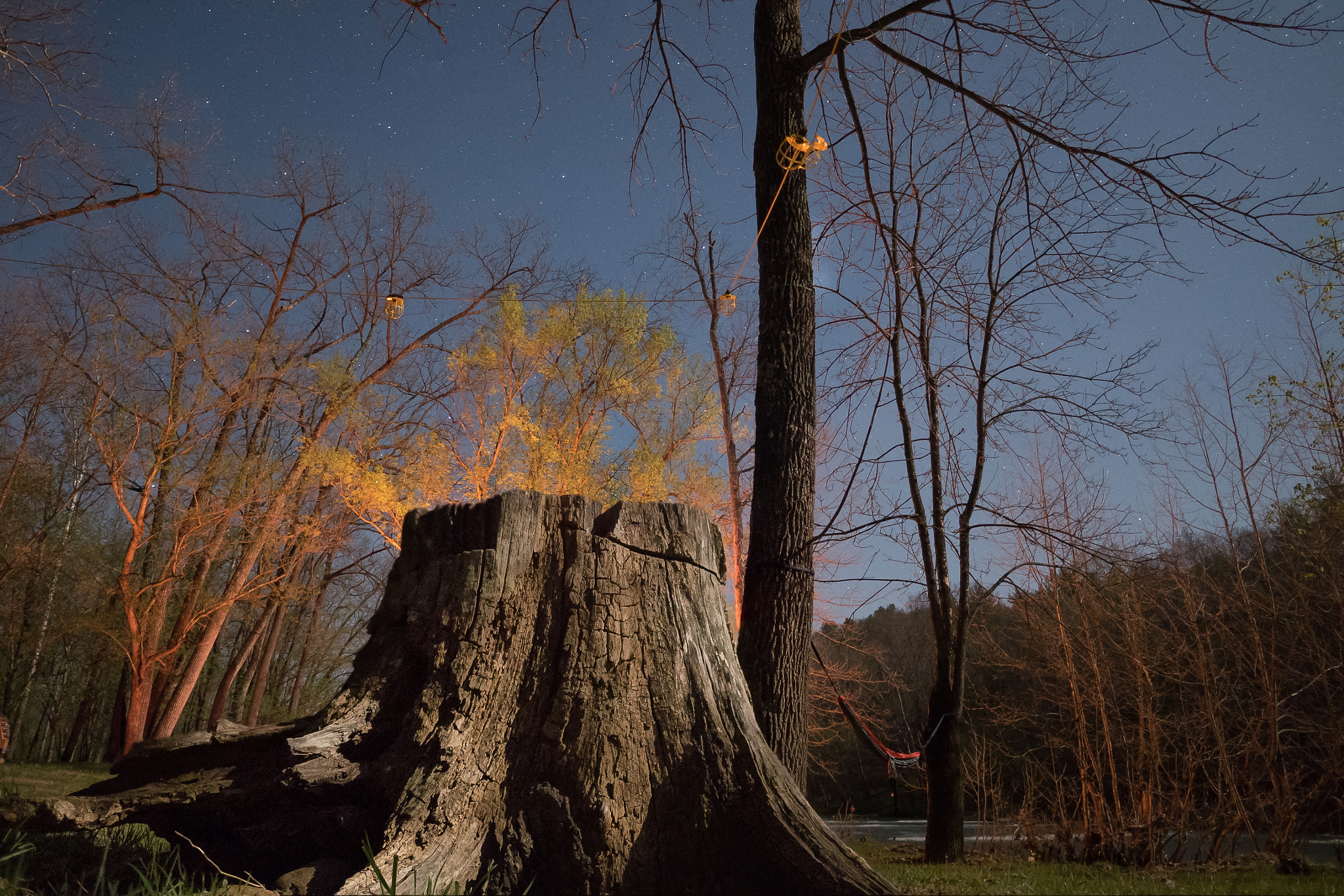 Olympus OM-D E-M5 II + OLYMPUS M.12mm F2.0 sample photo. Fire stump photography