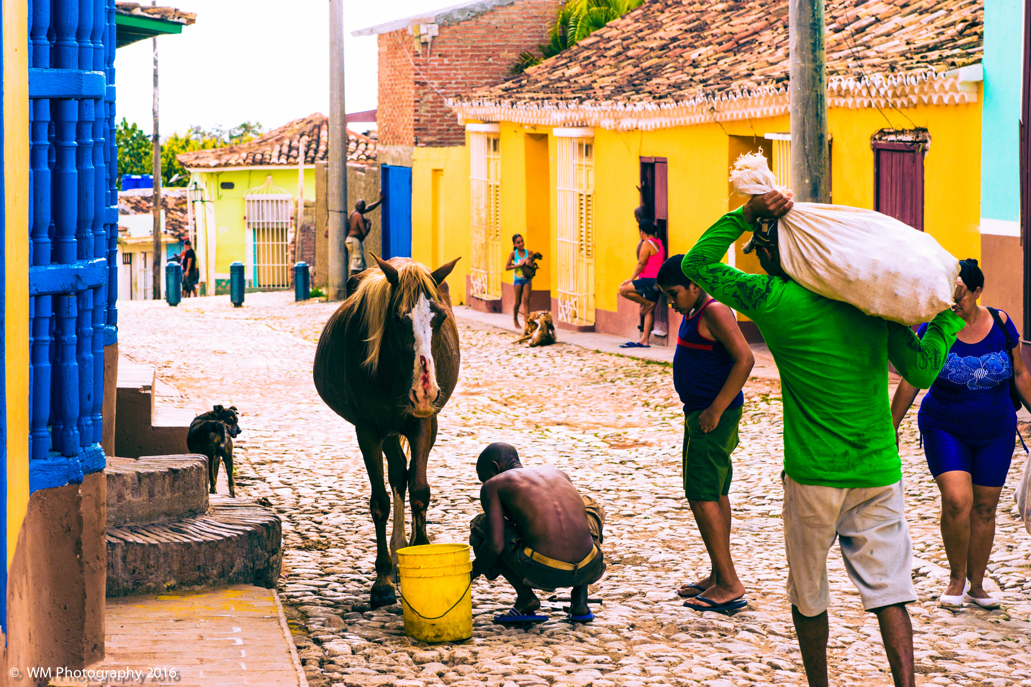 Sony SLT-A77 sample photo. Trinidad photography