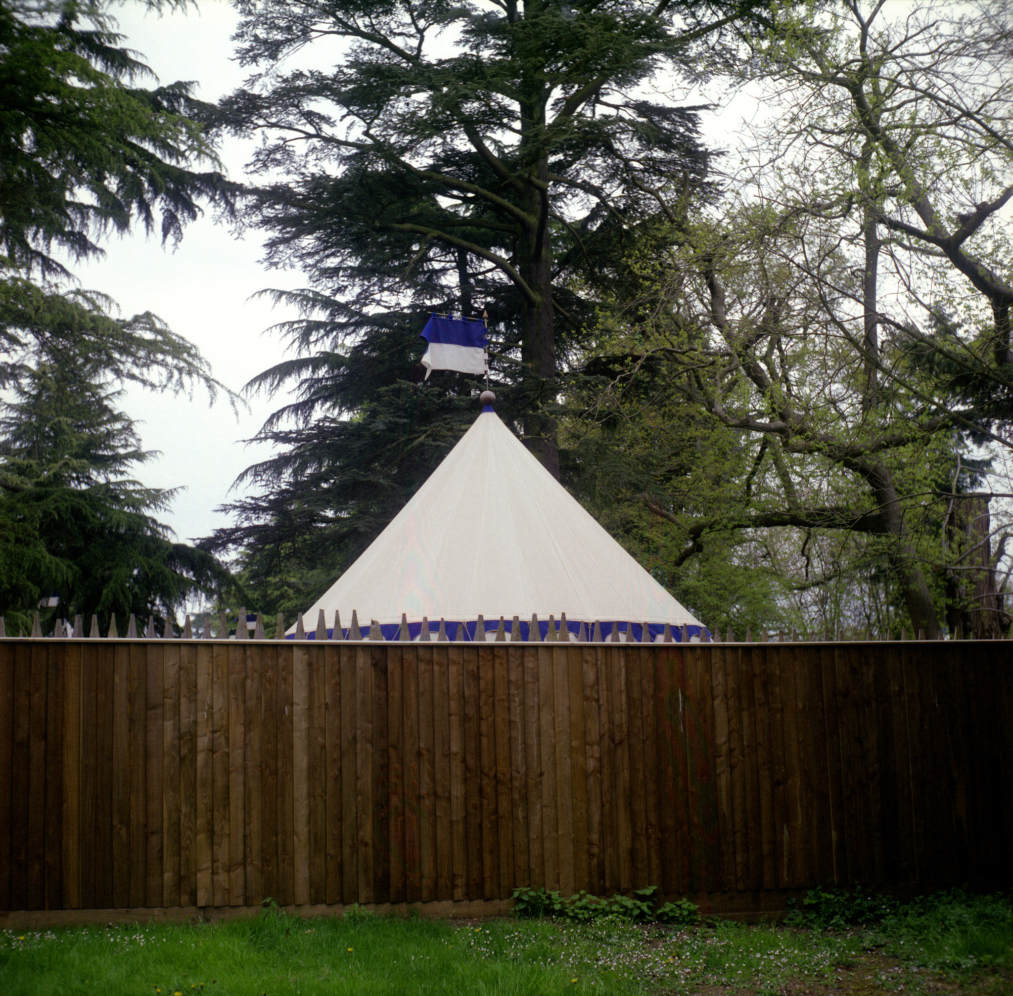 Yashica MAT 124G sample photo. Pointing up photography