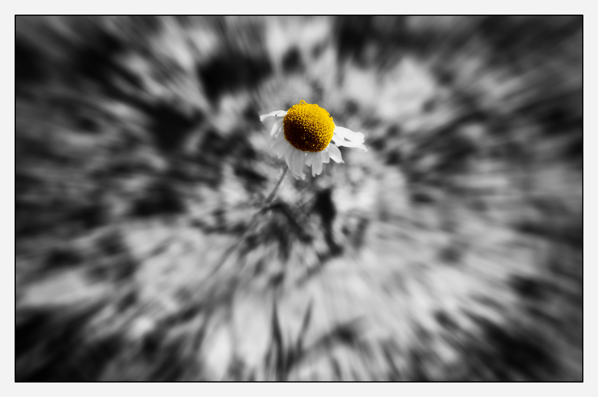 Sony Alpha DSLR-A580 sample photo. Untitled photography