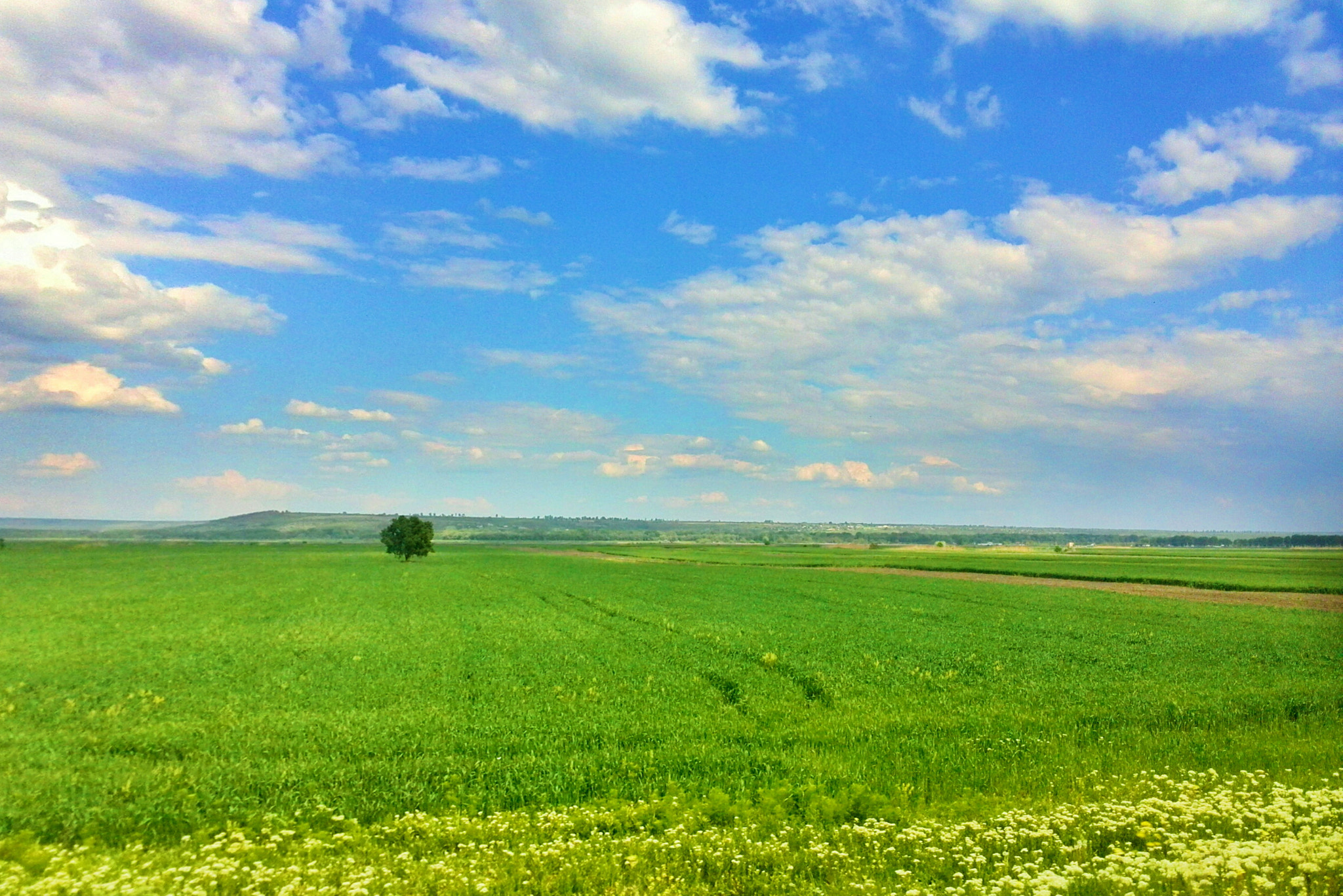 HUAWEI P6-U06 sample photo. Forever alone with beauty photography