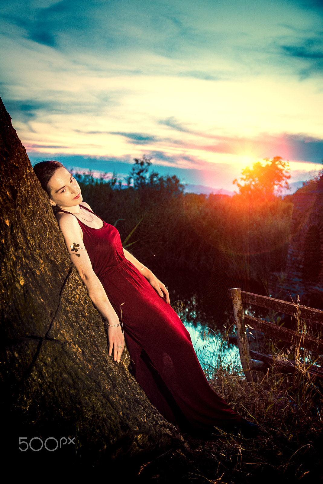 Sigma 28-105mm F4-5.6 UC sample photo. Deep red photography
