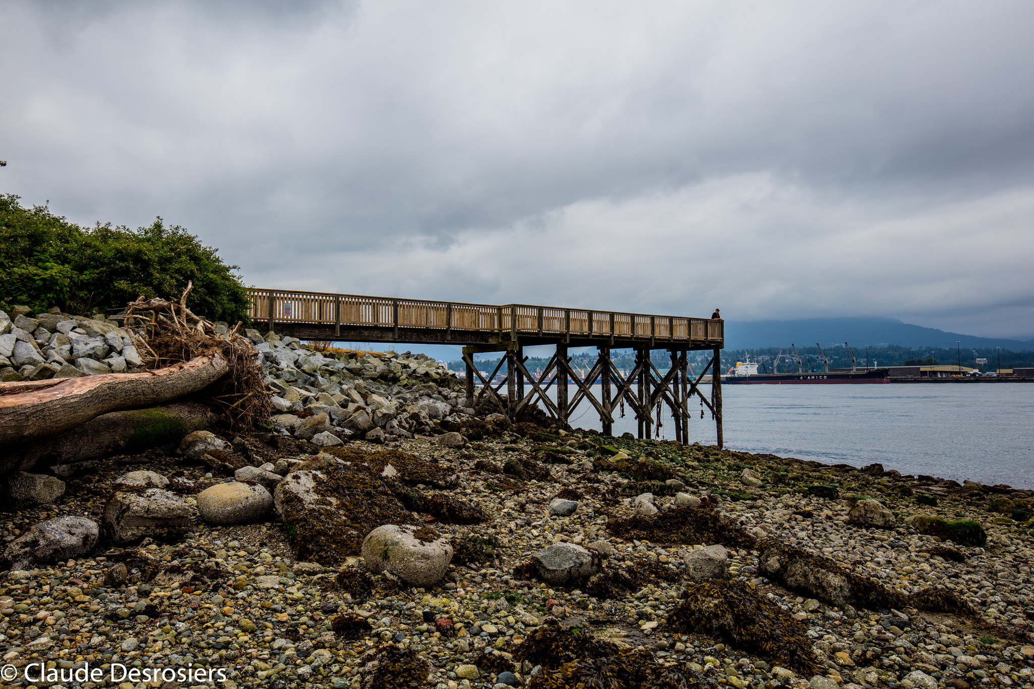 Canon TS-E 24.0mm f/3.5 L II sample photo. Brighton park, vancouver photography