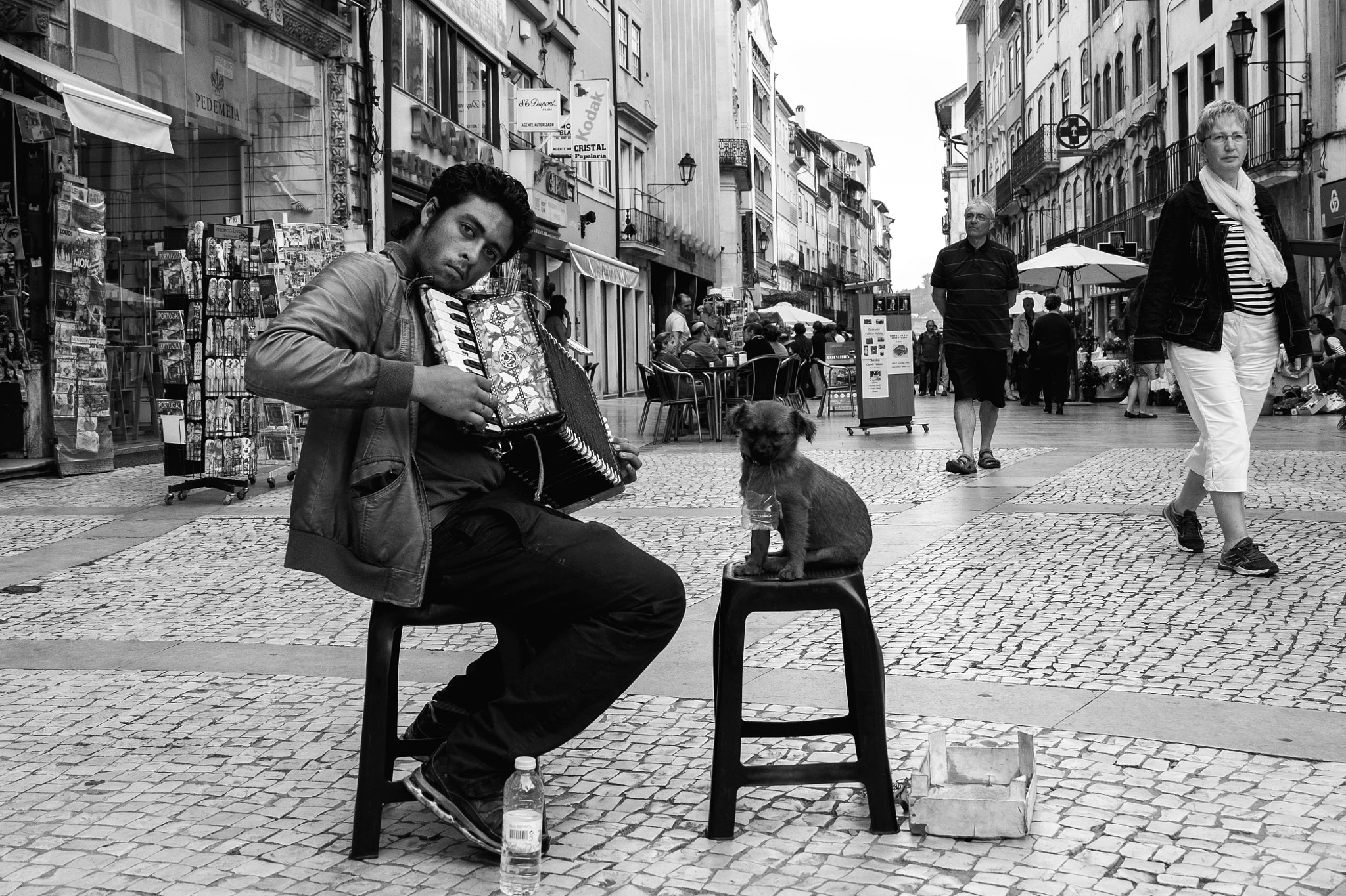 Fujifilm XC 16-50mm F3.5-5.6 OIS II sample photo. Photo by rui magalhães photography
