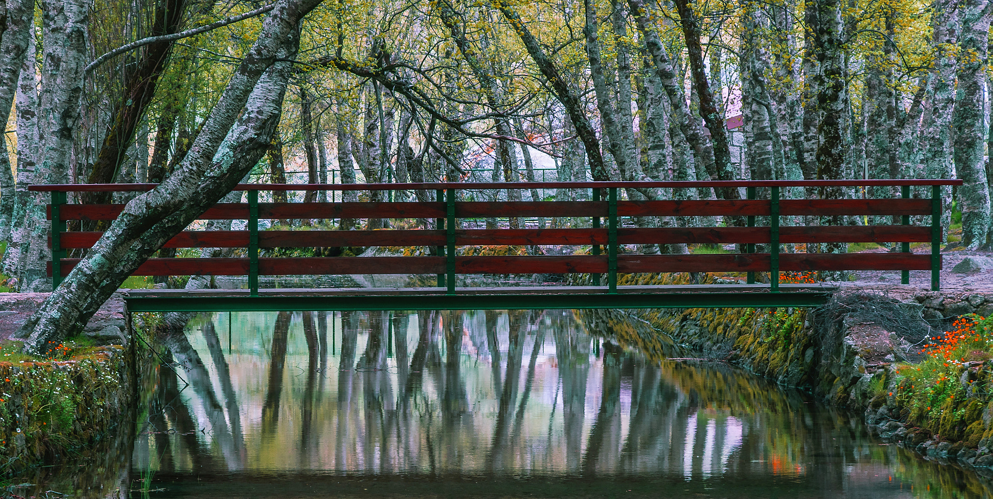 Sony DT 16-105mm F3.5-5.6 sample photo. Watercolour photography