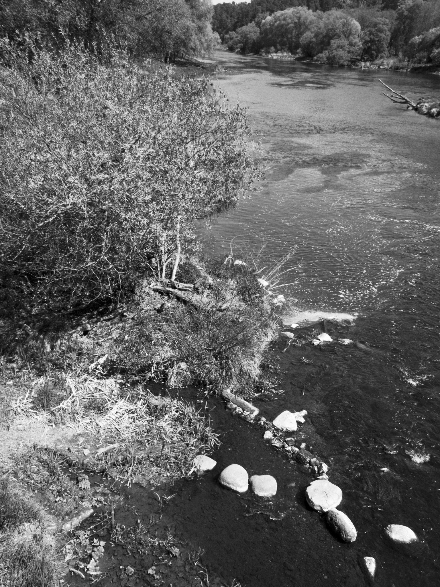 Olympus E-520 (EVOLT E-520) + SIGMA 18-50mm F2.8 DC sample photo. Moscow river in polushkino photography