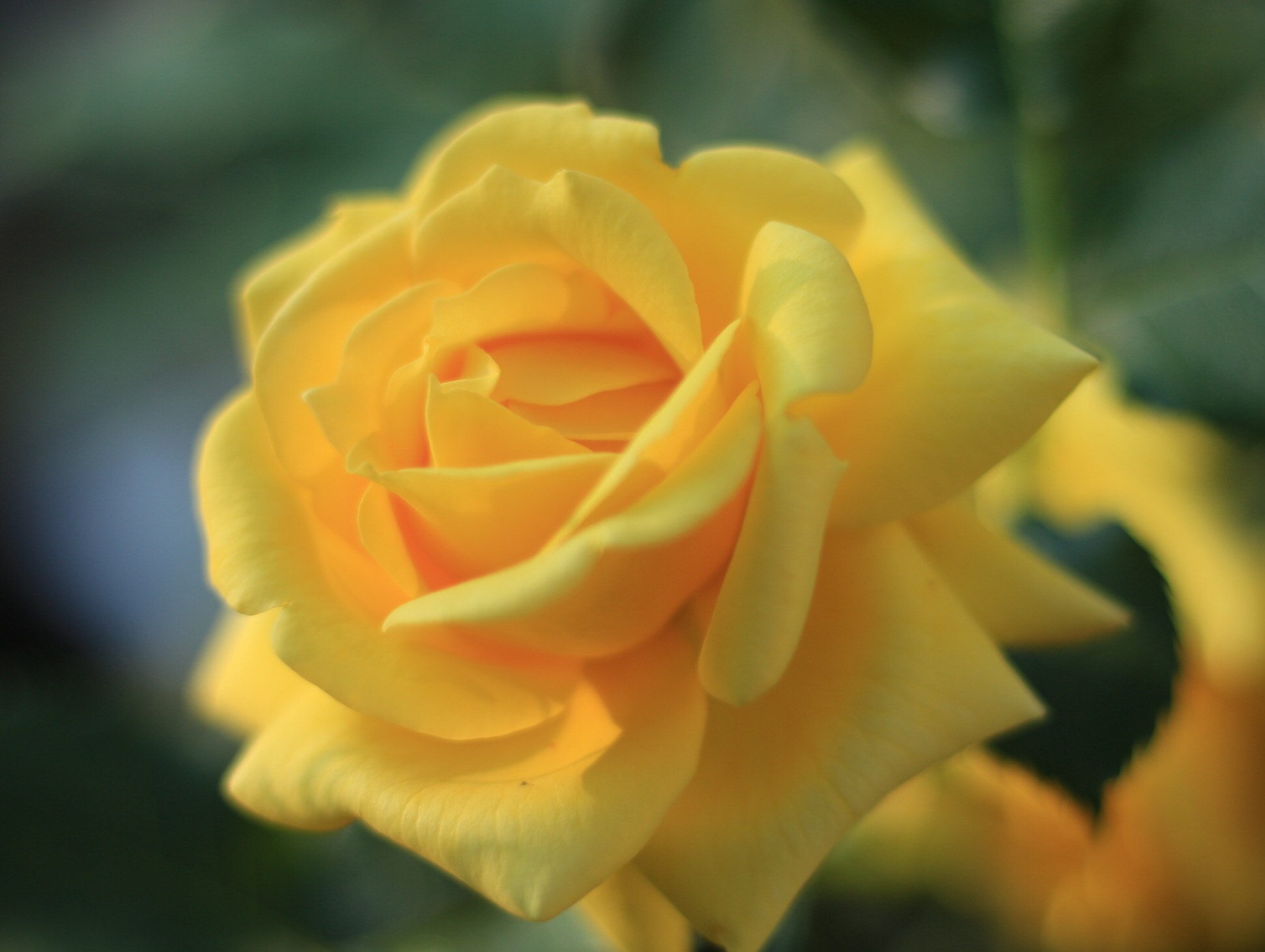Canon EOS M + Canon EF 50mm F1.8 STM sample photo
