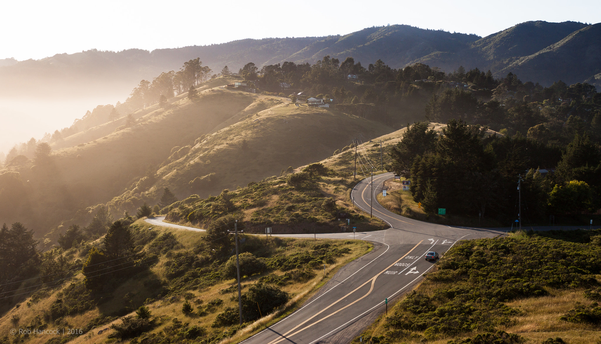 Canon EF 28-90mm f/4-5.6 USM sample photo. Muir woods road photography