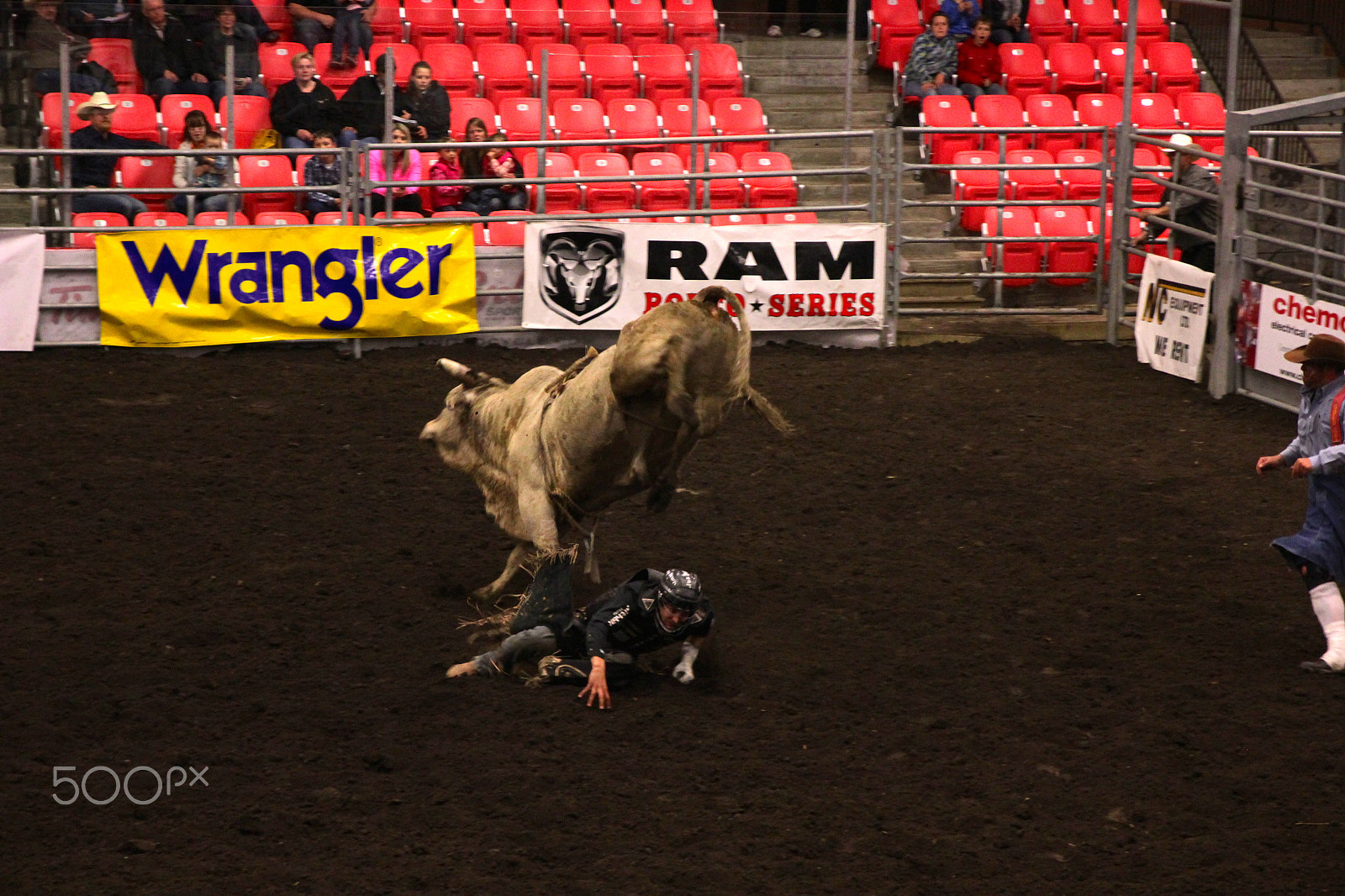 Canon EOS 550D (EOS Rebel T2i / EOS Kiss X4) sample photo. Bull ride photography