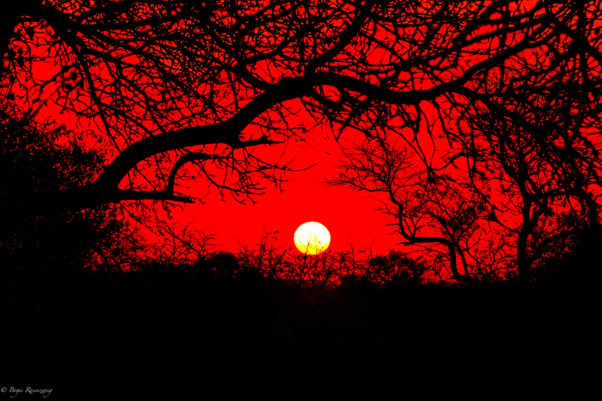 Canon EF 100-400mm F4.5-5.6L IS USM sample photo. African sunset photography