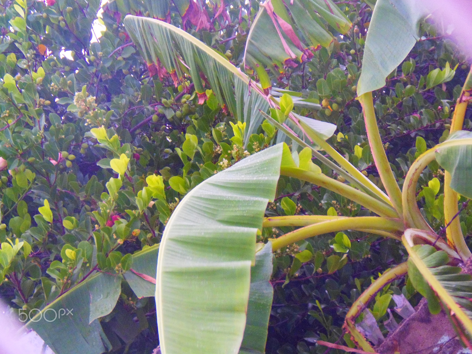 Olympus SP-810UZ sample photo. Olympus digital camera��������� photography