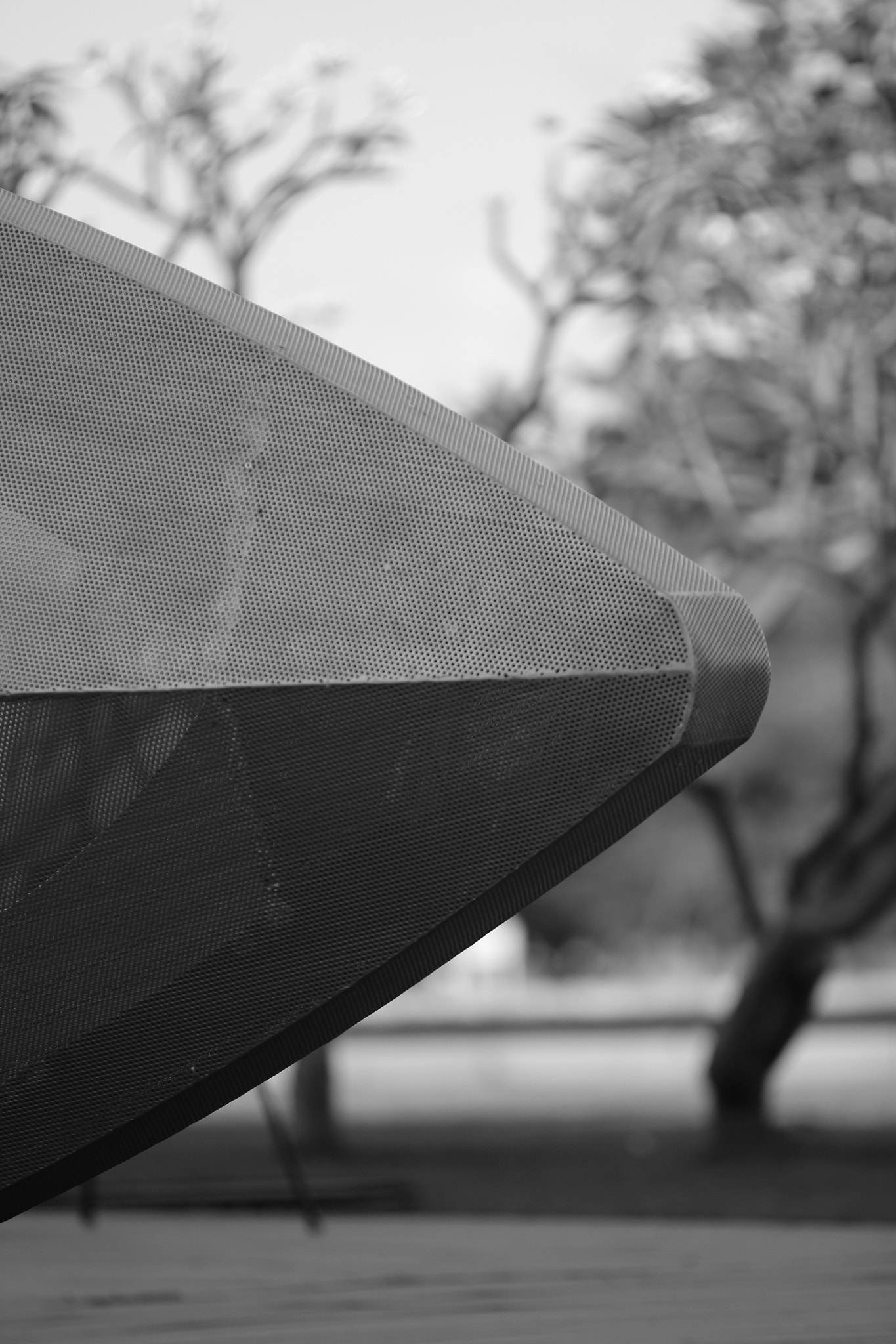 Canon EF 70-200mm F2.8L IS II USM sample photo
