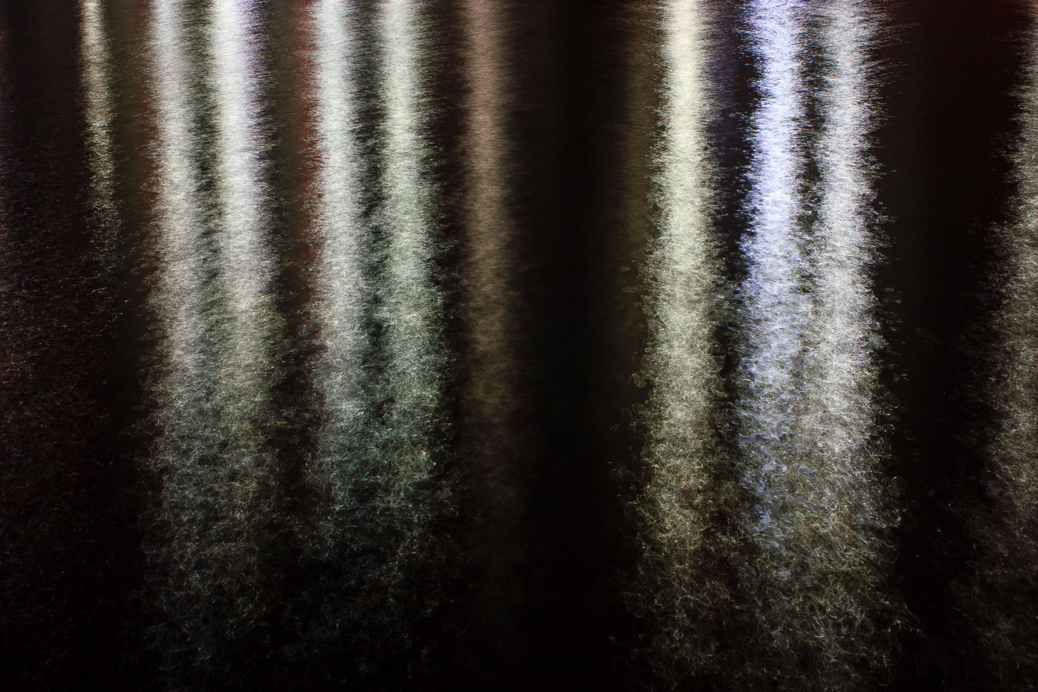 Canon EF 35-80mm f/4-5.6 sample photo. It's all a blur photography